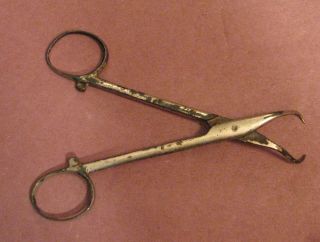 Vintage Old Medical Instrument Tool Forceps Tweezers 2