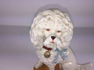 Antique Victorian Porcelain White Poodle Dog Mantle Shelf Figure 2