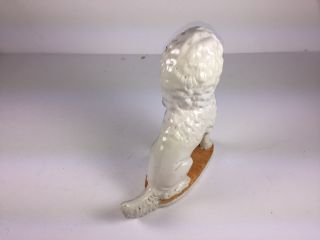 Antique Victorian Porcelain White Poodle Dog Mantle Shelf Figure 3