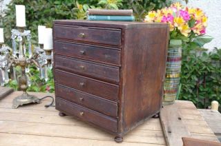 Antique Entomology Cabinet Specimen Drawers Victorian Engineers Tool Chest Chic