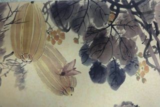 Very Old Chinese Paper Painting Plants and Insects 