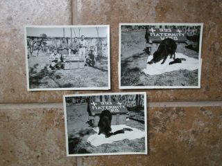 3 WWII US Army CBI China Nationalist KMT 993rd Signal Corps Maternity Dog Photos 2