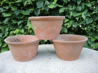 3 Old Hand Thrown Half Height Terracotta Plant Pots 7.  5 " Diameter (h)
