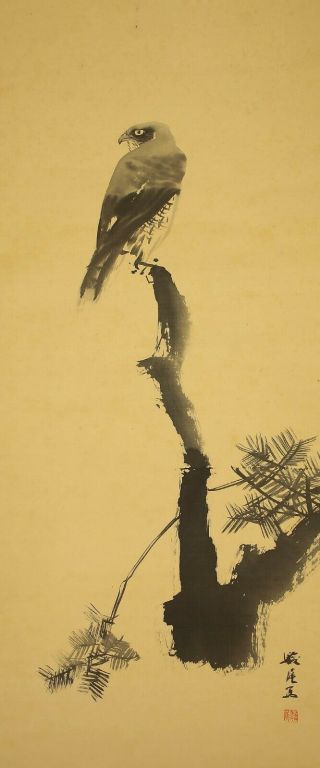 掛軸1967 Japanese Hanging Scroll " Hawk On Branch " @b777