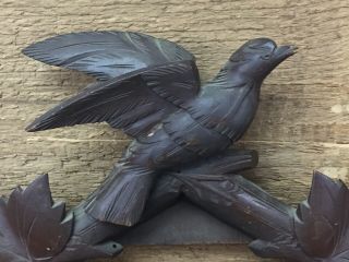 Vintage Large Black Forest Germany Hand Carved Cuckoo Front Frame - Flying Birds 7