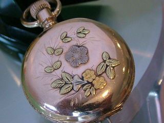 1894 Elgin Pendant Multicolor Pocketwatch Floral Case Runs
