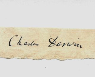 Charles Darwin Autograph Reprint On Period 1860s Paper