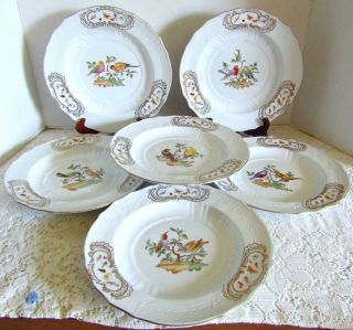 Gorgeous Set Of 6 Chelsea House Decorative Bird & Insects Gold/white Plates