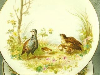 SET 12 Antique Hand Painted Game Plates Rabbits,  Pheasants,  Quail Etc. 3