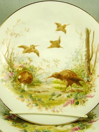 SET 12 Antique Hand Painted Game Plates Rabbits,  Pheasants,  Quail Etc. 5