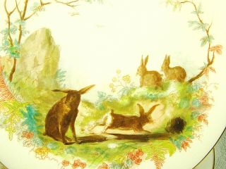 SET 12 Antique Hand Painted Game Plates Rabbits,  Pheasants,  Quail Etc. 7