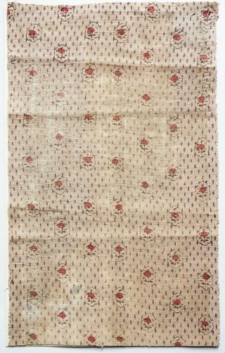 Antique Chintz (printed Cotton) Textile Fragment - Flower Pattern,  White Ground