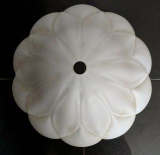 Large Vintage Milk Glass Lotus Flower Globe Shade for Light Fixture 8 