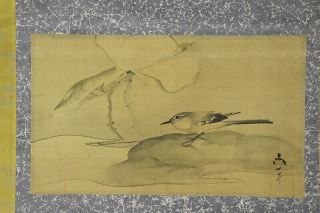 JAPANESE HANGING SCROLL ART Painting Bird and Flower Sansui Landscape E7537 3