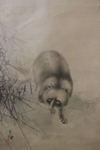 D05e1 狸 Tanuki Cute Raccoon Dog & The Full Moon Japanese Hanging Scroll