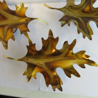 Vintage Brass Copper Wall Leaves Mcm Art Metal Wall Decor 3 - 7 " Leaves
