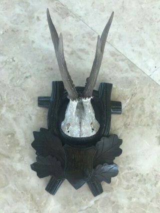 Antique Austrian Black Forest Antler,  Hand Carved Plate,  Austrian Hunting Lodge