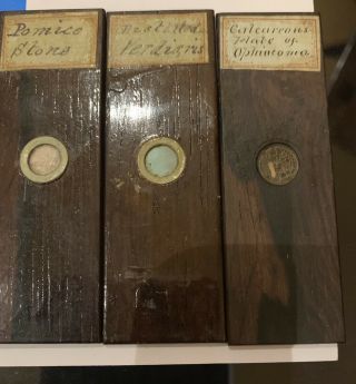 Antique Set Of 3 Microscope Slides Early 1800 