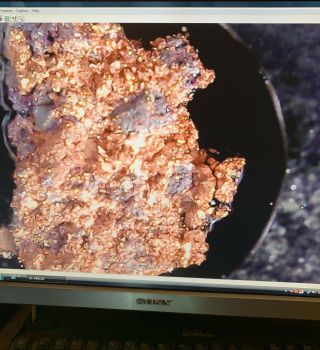 Antique Victorian Microscope Slide Crystalized Copper Rare Old C.  Baker Polar