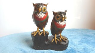 Vintage Chinese Cloisonne A Owls On Carved Wooden Stand