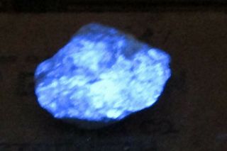 Mineral Speciimen Of Fluorescent Scheelite From Nevada