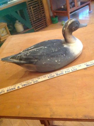 Antique Primitive Folk Art Herter Pintail Duck Decoy Collectible Americana 309 - 2