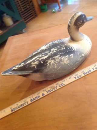 Antique Primitive Folk Art Herter Pintail Duck Decoy Collectible Americana 308 - 2