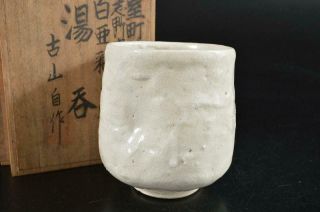 S5862: Japanese Shino - Ware White Glaze Sencha Teacup Yunomi W/box Tea Ceremony