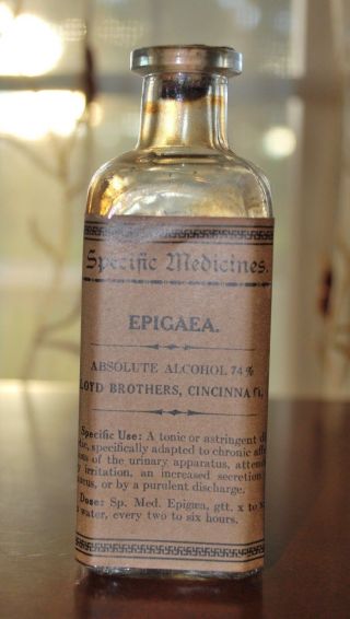 Antique Pharmacy Medicine Lloyd Brothers Epigaea For Urinary Apparatus