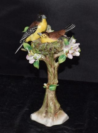 Vintage Sitzendorf Figurine - Bird Nest W/ Mother & Male In Tree - 9 " H - Exc