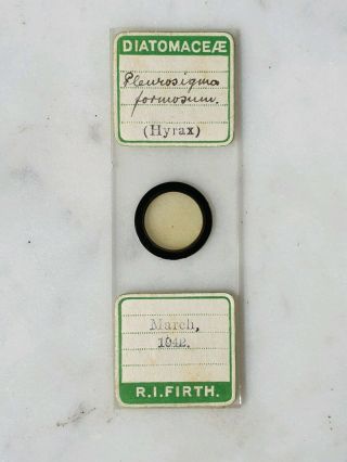 Vintage Microscope Slide Diatoms By R.  I.  Firth