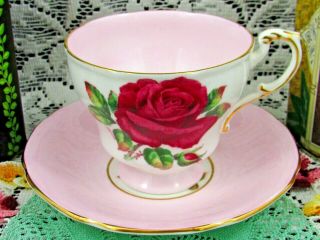 Paragon Red Cabbage Rose Candy Pink Tea Cup And Saucer