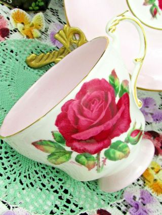 PARAGON RED CABBAGE ROSE CANDY PINK TEA CUP AND SAUCER 4