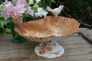 Vintage Cast Iron Bird Bath Two Bidrs On Shell Weathered Mid Century Rustic Chic