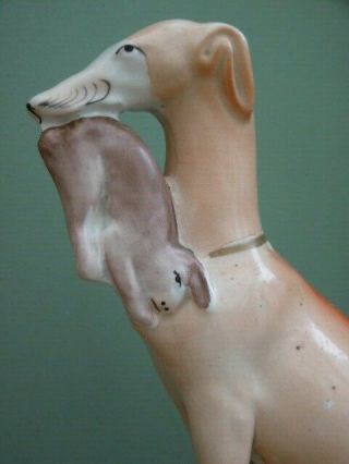 19thc STAFFORDSHIRE GREYHOUND IN SITTING POSE WITH RABBIT IN MOUTH 7