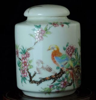 Chinese Old Hand - Made Famille - Rose Porcelain Plum Blossom & Bird Tea Pot B01