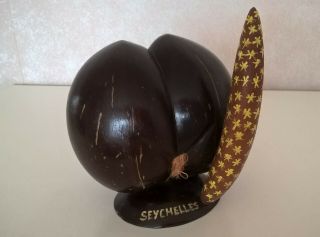 Seychelles Coco De Mer Nut Souvenir Ornament 5 " High On Base Vintage