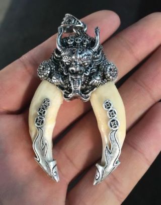 Chinese Old Dog Teeth With Tibetan Silver Amulet Carved Dragon Pendant Rn