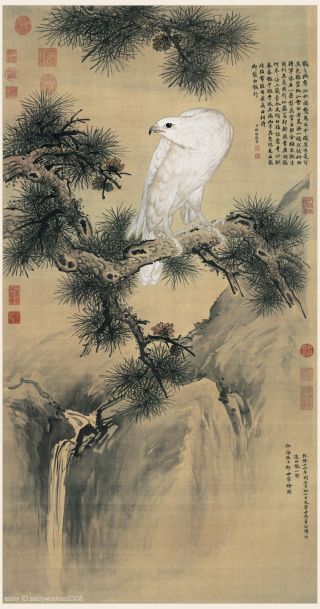 Chinese Old Painting On Silk White Eagle By Lang Shining/giuseppe Castiglione