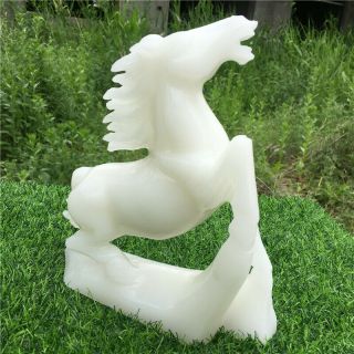 2440g Natural carved white jade horse O1921 - T 5