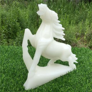 2440g Natural carved white jade horse O1921 - T 6