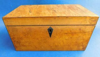 B6 Birdseye Huon Or Maple Wood Veneer Antique Tea Caddy Box 1900s