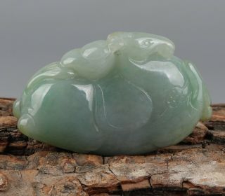 Chinese Exquisite Hand - carved jadeite jade horse Pendant 2