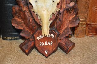 Antique German Black Forest Carved Wood Deer Antler Mount Plaque Dated 1948 2