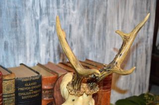 Antique German Black Forest Carved Wood Deer Antler Mount Plaque Dated 1948 5