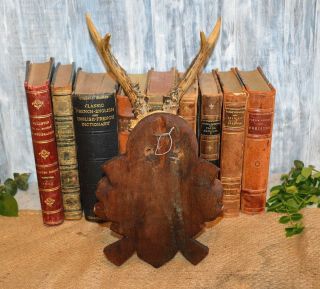 Antique German Black Forest Carved Wood Deer Antler Mount Plaque Dated 1948 6