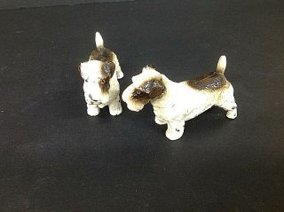 Vintage Art Deco Era Cold Painted Spelter Figures Of Terrier Dogs Lovely