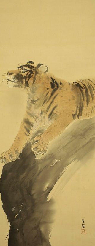 掛軸1967 Japanese Hanging Scroll : Mochizuki Seiho " Tiger On Cliff " @e262