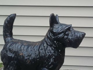 antique HUBLEY cast iron SCOTTISH TERRIER doorstop STATUE door stop 3