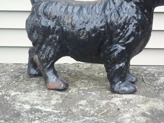 antique HUBLEY cast iron SCOTTISH TERRIER doorstop STATUE door stop 4